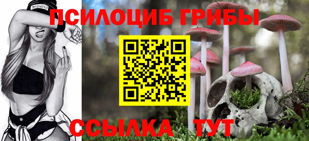 Cocaine  А ПВП СК   Вход с VPN  ГАШИШ  ЭКСТАЗИ  МЕТАМФЕТАМИН  Гашиш  Каннабис  Мичуринск  Меф  