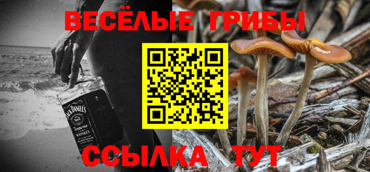 Псилоцибиновые грибы GOLDEN TEACHER  Вход с VPN  Мичуринск 