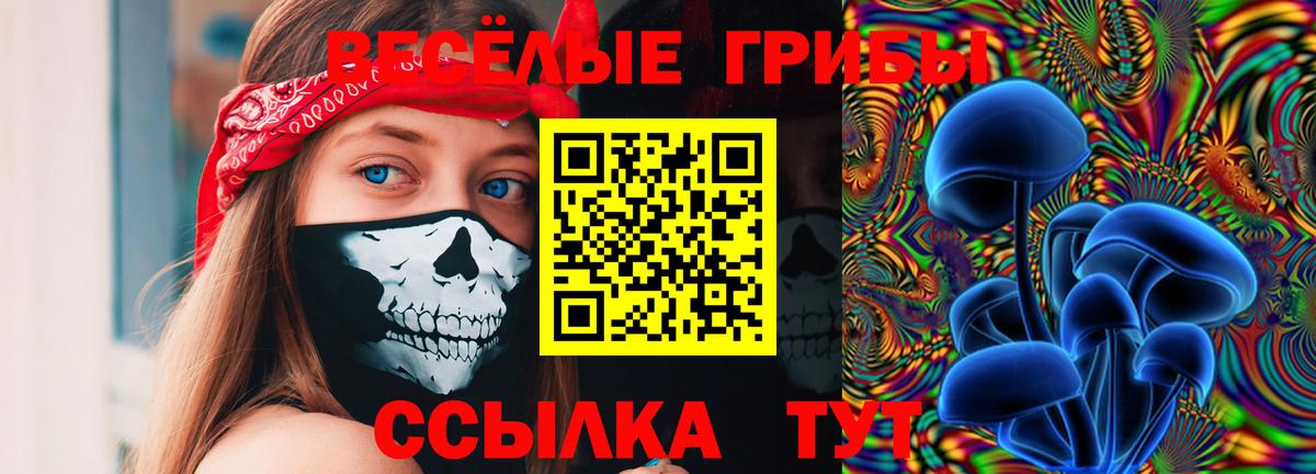 Псилоцибиновые грибы ЛСД Мичуринск